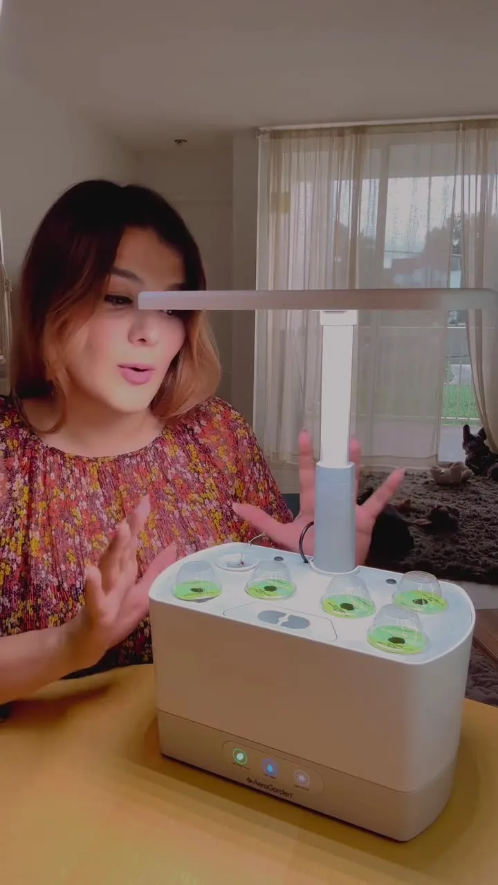 Hydroponic Garden — Four Weeks of Growth — still from a UGC video by Content Beast